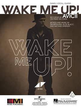 Avicii: Wake Me Up!