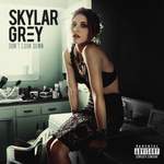Skylar Grey: Final Warning Product Image