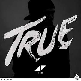 Avicii: Hey Brother