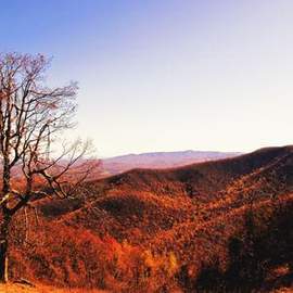 Alfred Bryan: There's A Blue Ridge Round My Heart Virginia