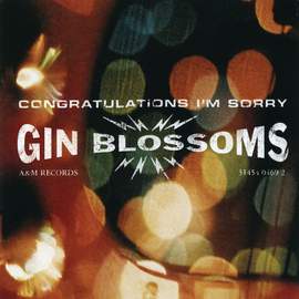 Gin Blossoms: Follow You Down