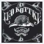 Leo Kottke: Vaseline Machine Gun Product Image