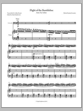 Nada Radulovich: Flight of the Bumblebee - Full Score
