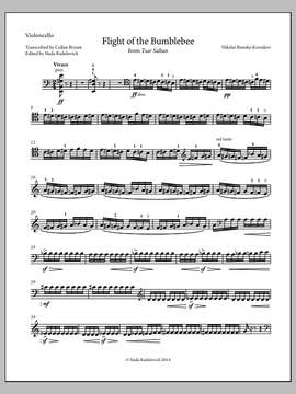 Nada Radulovich: Flight of the Bumblebee - Violoncello