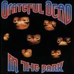 Grateful Dead: Hell In A Bucket Product Image