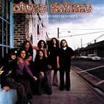 Lynyrd Skynyrd: Simple Man Product Image