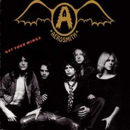 Aerosmith: Train Kept A-Rollin'