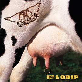 Aerosmith: Flesh
