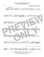 Sarah McLachlan: I Will Remember You Product Image