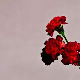 John Legend: All Of Me