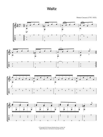 Matteo Carcassi: Waltz