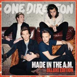 One Direction: Love You Goodbye