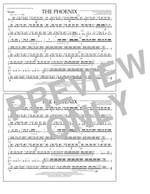Tom Wallace: The Phoenix - Snare Product Image