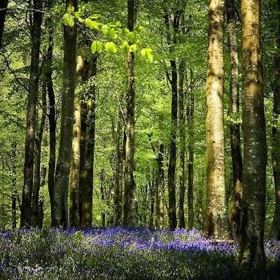 Christopher Le Fleming: If It's Ever Spring Again