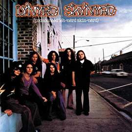 Lynyrd Skynyrd: Simple Man