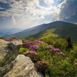 Jon Paige: Appalachian Psalm