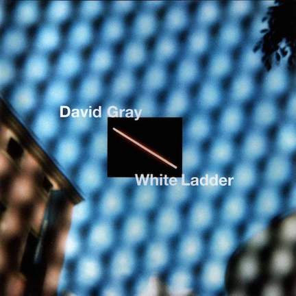 David Gray: This Year's Love