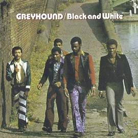 Greyhound: Black And White