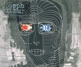 Joseph Arthur: In The Sun