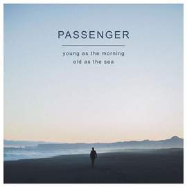 Passenger: Beautiful Birds