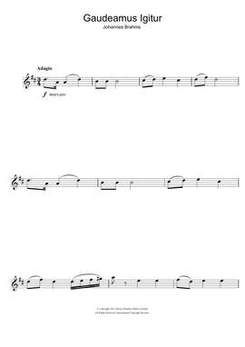 Johannes Brahms: Gaudeamus Igitur