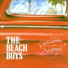 The Beach Boys: Sail On, Sailor