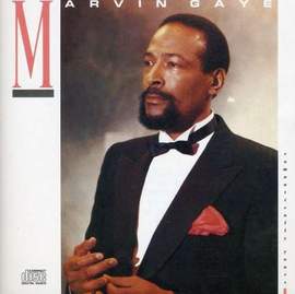 Marvin Gaye: Why Did I Choose You?