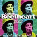 Captain Beefheart: I'm Glad