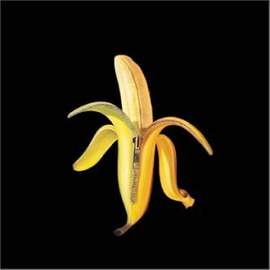 The Dandy Warhols: I Am A Scientist