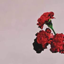 John Legend: All Of Me