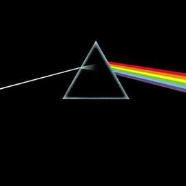Pink Floyd: Us And Them
