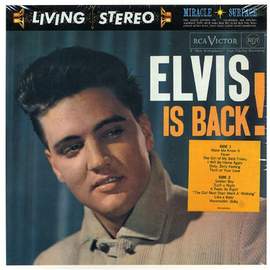 Elvis Presley: Fame And Fortune
