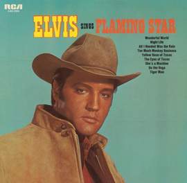 Elvis Presley: Flaming Star