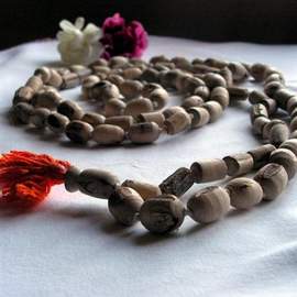 William H. Harris: Let My Prayer Come Up Into Thy Presence