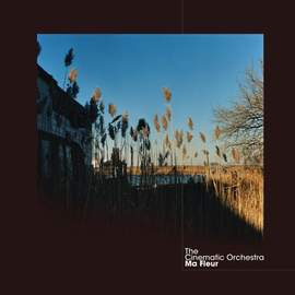 Cinematic Orchestra: To Build A Home