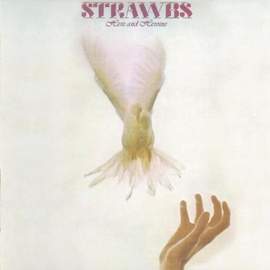 The Strawbs: Shine On Silver Sun