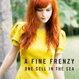 A Fine Frenzy: Almost Lover
