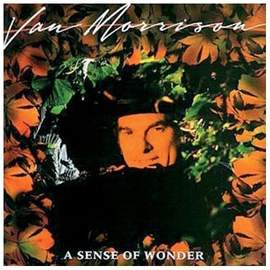 Van Morrison: A Sense Of Wonder