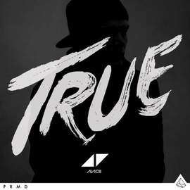 Avicii: You Make Me