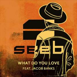 Seeb: What Do You Love (featuring Jacob Banks)