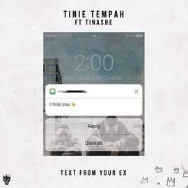 Tinie Tempah: Text From Your Ex (featuring Tinashe)