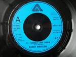 Barry Manilow: Could It Be Magic Product Image
