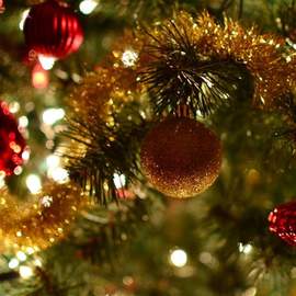 Tony Burns: Christmas Time Is Here!