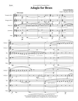 Stephen McNeff: Adagio (Adagio For Strings) - Full Score