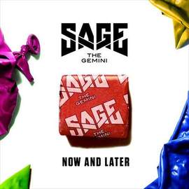 Sage the Gemini: Now And Later