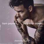 Liam Payne: Strip That Down (featuring Quavo) Product Image