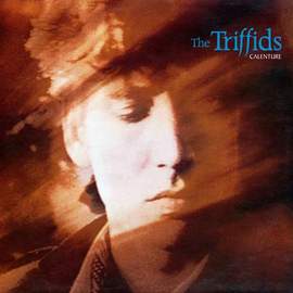 The Triffids: Bury Me Deep In Love