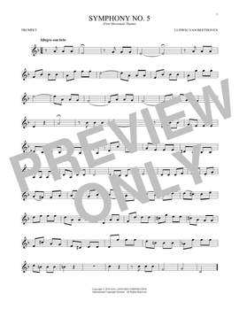Ludwig Van Beethoven: Symphony No. 5 In C Minor, First Movement Excerpt
