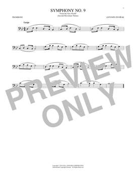 Antonín Dvorák: Largo From Symphony No. 9 ("New World")
