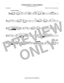 Pyotr Il'yich Tchaikovsky: Andante Cantabile